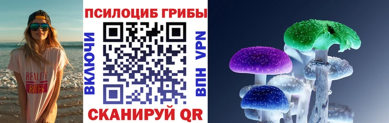 Псилоцибиновые грибы Psilocybe как найти закладки mega рабочий сайт Красково